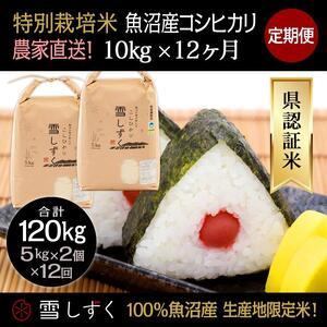 ふるさと納税 定期便！農家直送！県認証特別栽培魚沼産コシヒカリ毎月10kg×12回 新潟県十日町市