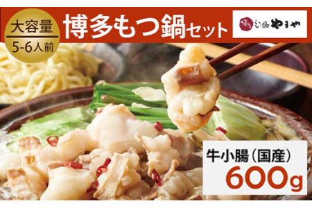 もつ鍋セット 牛もつたっぷり600g！大容量5-6人前(あごだし醤油味) 博多もつ鍋やまや