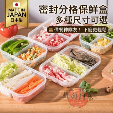 🍁【批發日本】現貨快出 日本製 NAKAYA 小分裝保鮮盒 密封盒 備餐盒 飯菜分隔盒 分裝盒 可微波 冷凍保存 副食品