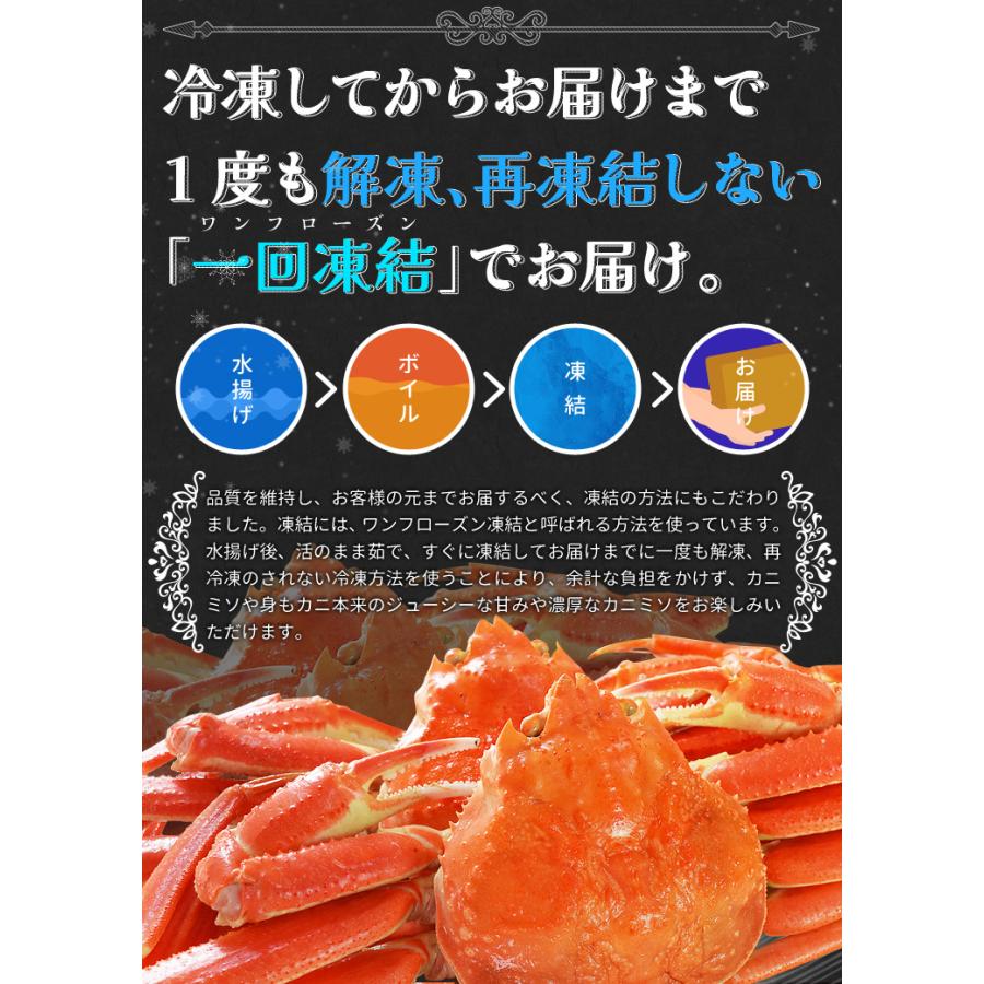 かに ずわいがに ボイル 姿 ２尾で１.２ｋｇ前後（６００ｇ前後×２ハイ）かにみそ 年末年始 送料無料 本ズワイガニ 蟹