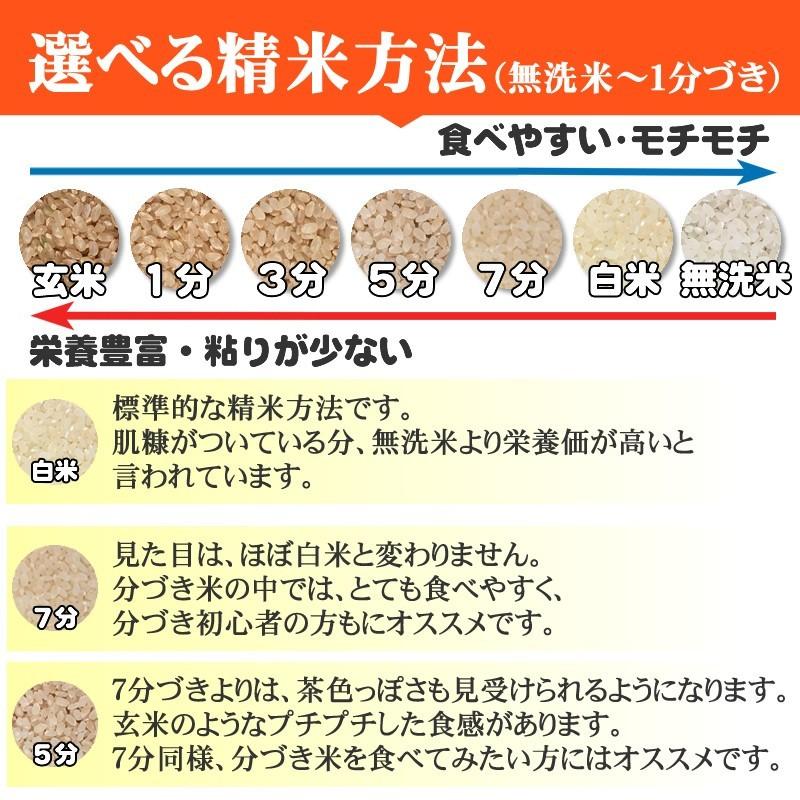 新米 米 玄米 2kg ひとめぼれ 令和5年産 岩手県産 精米無料 白米 無洗米 当日精米 送料無料