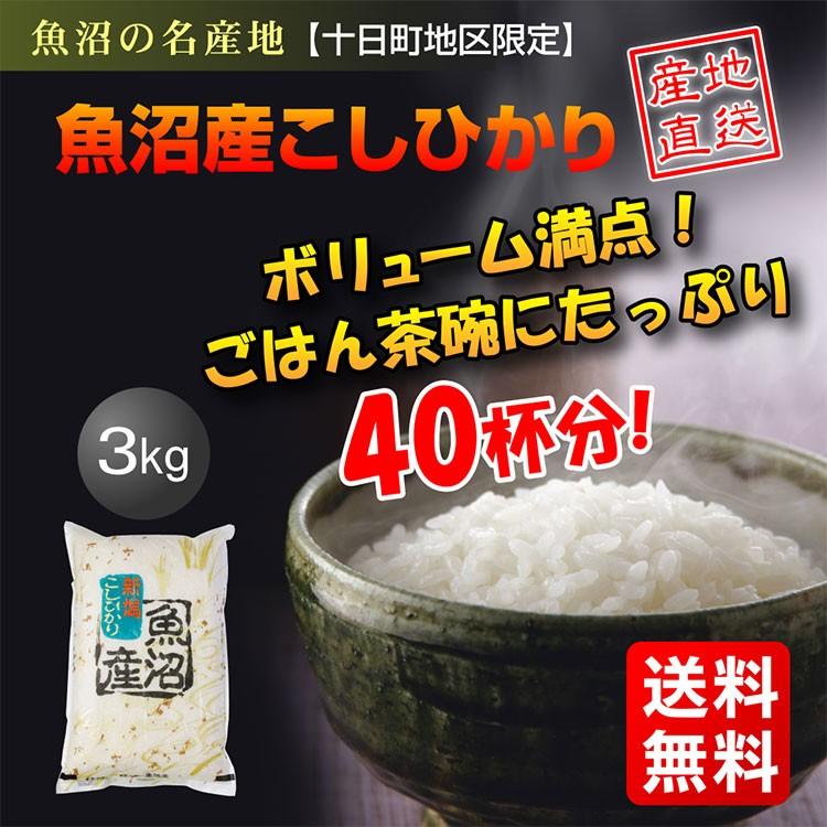 米 令和5年産 魚沼産 コシヒカリ 3ｋｇ 御礼 内祝 お歳暮