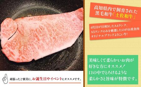 高知県産　よさこい和牛　サーロインステーキ用(約200g×2枚)