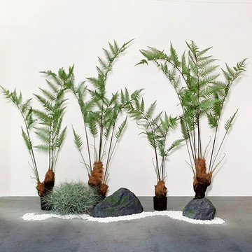 蕨樹蕨草仿真植物落地造景盆栽家居商場茶室櫥窗植物布置造景擺件
