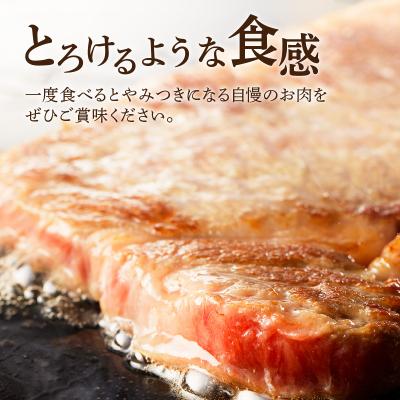 ふるさと納税 鹿児島市 サーロインステーキ