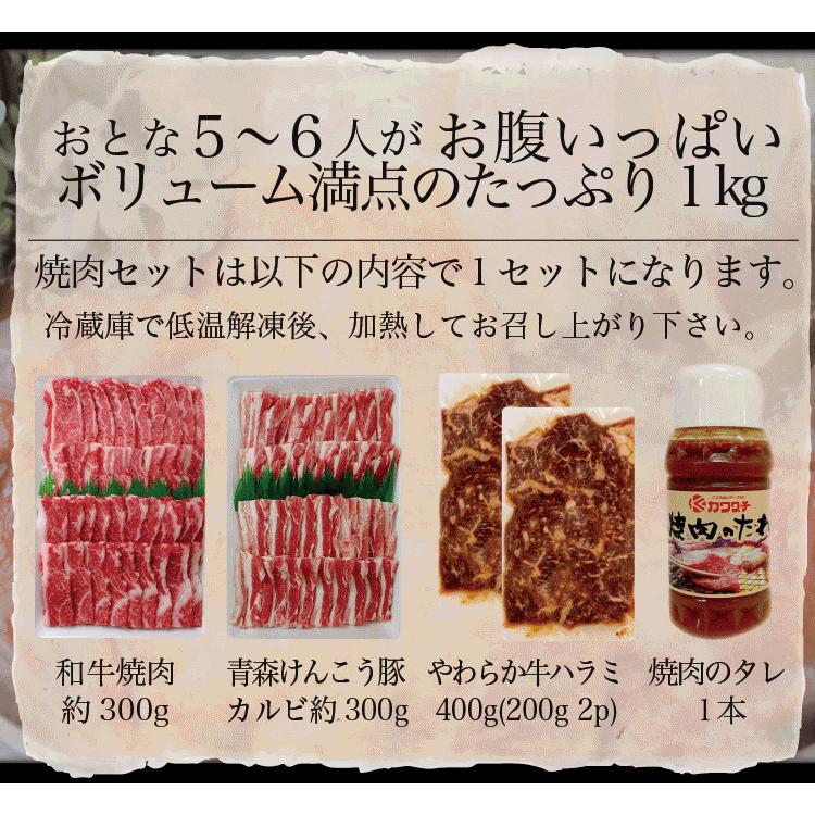 ギフト 肉 焼肉 福袋 1kg 3種盛 送料無料 肉 和牛 入り 焼肉セット 訳あり ハラミ 豚 カルビ