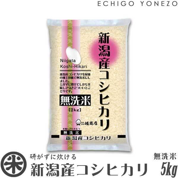 [新米 令和5年産] 無洗米 新潟産コシヒカリ 5kg (5kg×1袋) [NTWP製法] お米 新潟米 新潟県産 こしひかり 送料無料 ギフト対応