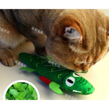 【寵愛毛宅】貓咪薄荷毛絨玩具 貓咪玩具 貓咪薄荷玩具 寵物玩具 逗貓玩具 貓咪解悶自嗨玩具 貓咪毛絨玩具