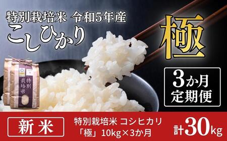 定期便 3ヵ月 コシヒカリ「極」10kg×3ヶ月 特別栽培米 新米こしひかり こしひかり定期便 お米の定期便 計30kg (コシヒカリ5kg×6個)  白米3か月 新潟県産 特別栽培米 特栽米 精米 お米 