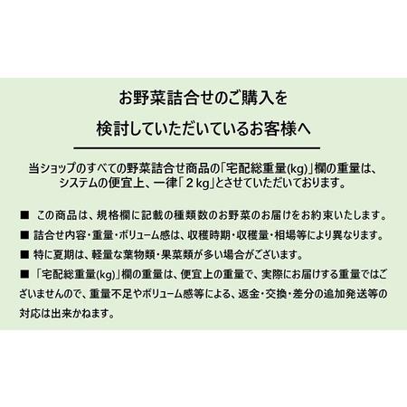 ふるさと納税 ほんまもん淡路島野菜BOX（大）2023年10月以降出荷 兵庫県