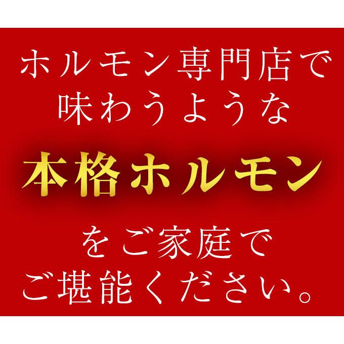 ホルモン 1kg  (500g×2) 訳あり シマチョウ てっちゃん もつ 肉 焼肉 送料無料 お取り寄せ グルメ ギフト 食品 味噌 タレ