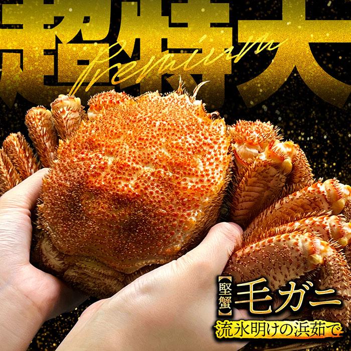 毛ガニ 800g 前後 1尾 プレミアム  北海道産 浜茹 流氷明け 水揚げ 蟹みそ 毛がに 毛蟹 かに カニ 蟹 ギフト