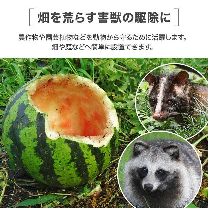 捕獲器 猫 アニマルトラップ トラップ 箱罠 イタチ 駆除 捕獲 踏板式 捕獲機 動物 小動物 子猫 罠 鼠 保護 庭 畑 餌 アニマルキャッチャー