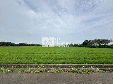 桃園土地專家張聖諺 楊梅富岡方正雙面路美農地｜桃園市楊梅區富岡段
