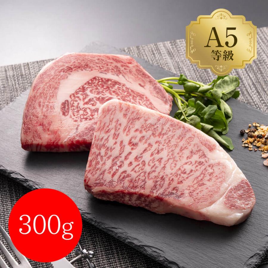 岡山 おかやま和牛（A5等級）ステーキ 300g （サーロイン150g、リブロース150g）   牛肉 牛サーロイン