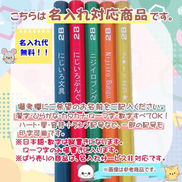  ファーバーカステル 色鉛筆 48色セット 平缶 [クリックポスト対象外商品] 文房具 文具 お絵かき スケッチ ぬり絵 クリスマス