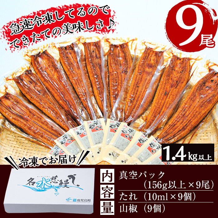 鹿児島県産うなぎ蒲焼 名水慈鰻 大9尾(1尾156g以上)＜計1.4kg以上＞ e8-001