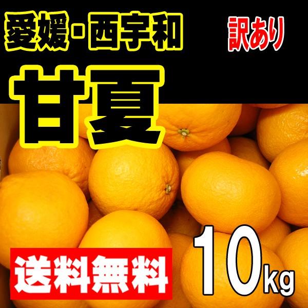 愛媛西宇和産　甘夏　訳あり家庭用　送料無料　１０ｋｇ