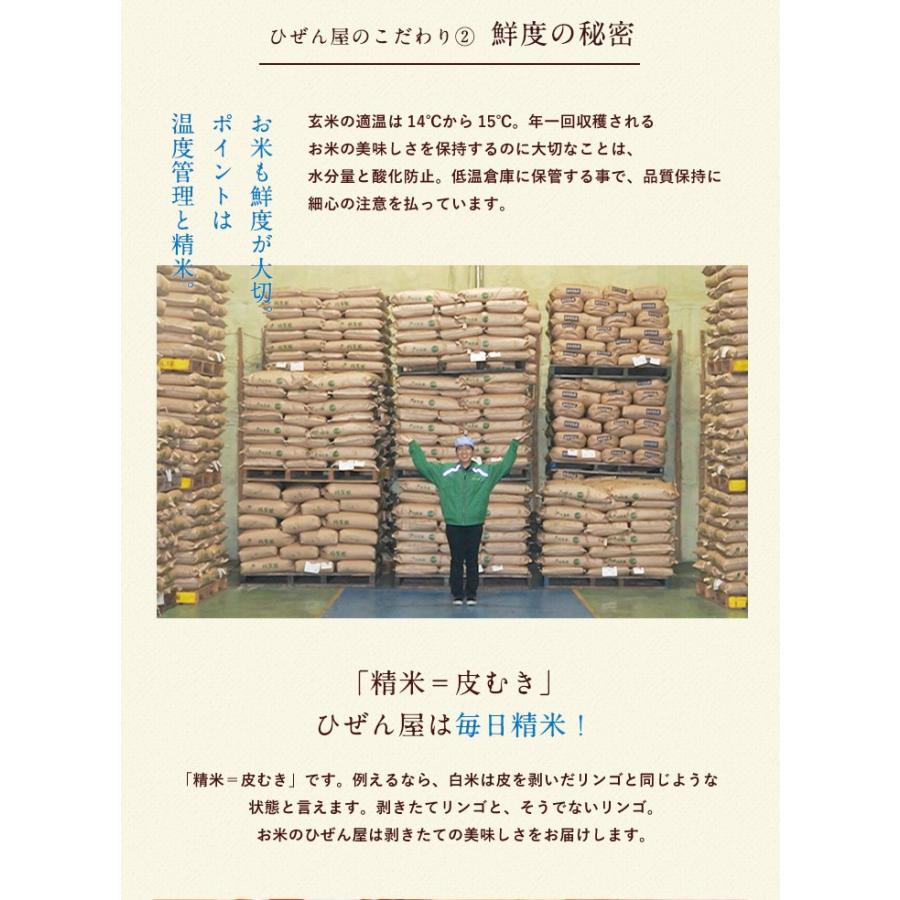 新米　5年産　佐賀県白米20kg(5kg×4袋) お米 米 佐賀県産 