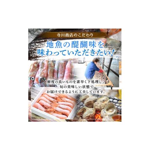 ふるさと納税 福井県 美浜町 [m21-a008] 獲れたて！天然！ヤリイカ 開き 約700g