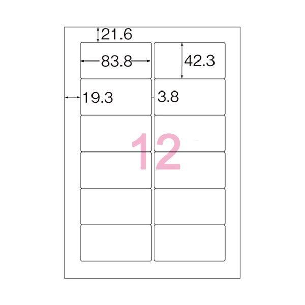 (まとめ) コクヨ プリンターを選ばない はかどりラベル A4 CASIOカシオ CASIOワード対応 ダーウィンシリーズ 12面 42.3×83.8mm KPC-E80184 1冊(100シート) ...