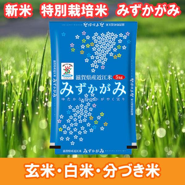 新米 令和5年産 特別栽培米 5kg  滋賀県産 みずかがみ 近江米 玄米 白米 7分づき 5分づき 3分づき 米 お米 出荷日精米  送料無料