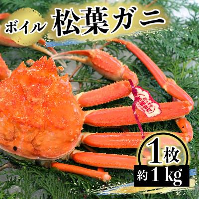 ふるさと納税 琴浦町 『年明配送』　タグ付き　ボイル・松葉がに　1枚　約1kg