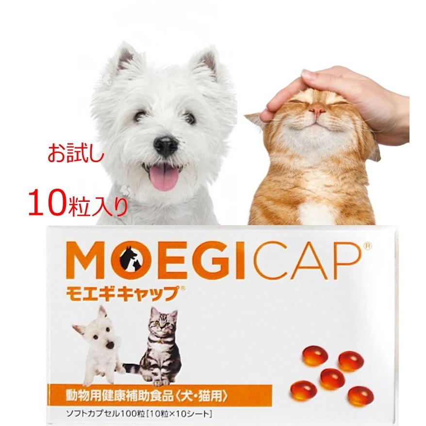 犬猫用 モエギキャップ - その他