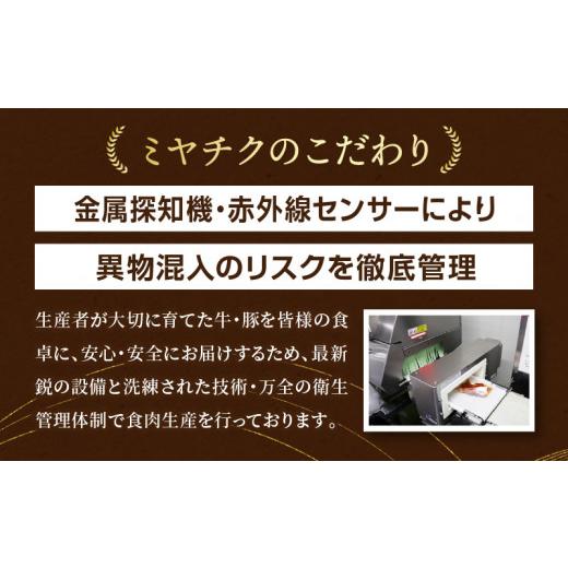 ふるさと納税 宮崎県 宮崎市 宮崎県産 豚ロース トンカツ 5枚 豚ロース しゃぶ 500g×1 豚ヒレ トンカツ 400g×1_M132-029