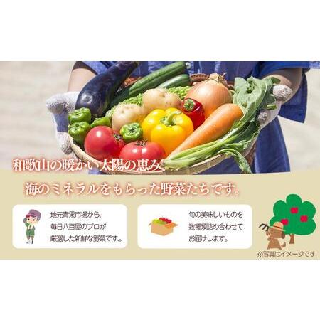 ふるさと納税 旬の新鮮野菜セットＡ（たっぷり15品以上） 和歌山県印南町