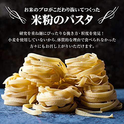 ファースト 添加物不使用 グルテンフリー 山形のお米で作ったパスタ 山形県産つや姫 国産米粉100％ もちもち玄米麺 (5個セット)