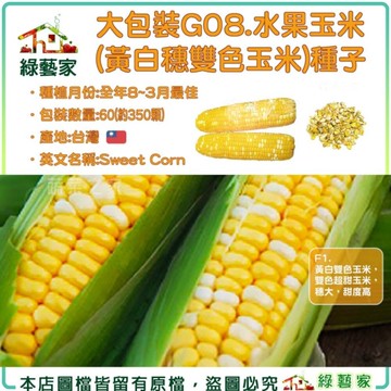 【綠藝家】【00G08】大包裝.水果玉米 種子60克(約350顆) 黃白穗雙色玉米 雙色超甜玉米，穗大，甜度