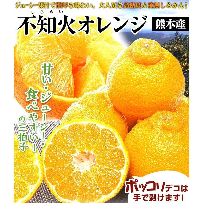 みかん 10kg 不知火オレンジ 熊本産 ご家庭用 送料無料 食品