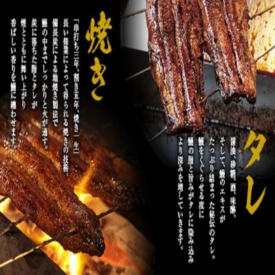 ふるさと納税 美濃加茂市 うなぎ 蒲焼 2尾 と 自家製 うなぎ の しぐれ煮 100gのセット