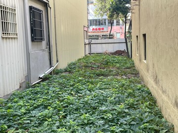 屏東市區臨20米路精華地段優質美建地｜屏東縣屏東市檳榔腳段二小段