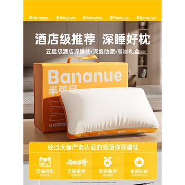 枕頭酒店抗菌睡眠護頸椎專用成人一對枕芯不塌陷學生宿舍家用