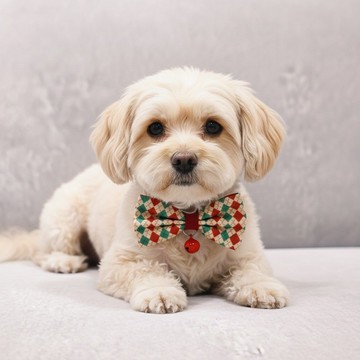 菱格款 蝴蝶結寵物裝飾項圈 貓咪 小型犬 迷你犬