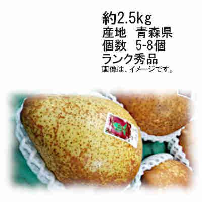 送料無料 ゼネラル レクラーク 青森県 約2.5kg 5-8玉入 秀品