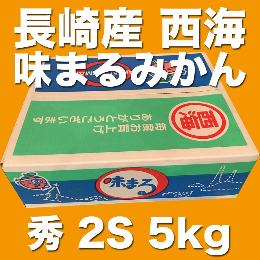 ご贈答に最適 長崎産 西海 味まるみかん 青秀 2S 約5kg