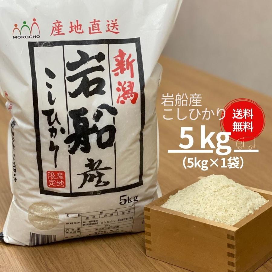 新米 米 お米 5kg セール コシヒカリ こしひかり 岩船産 本州送料無料 令和5年産