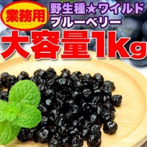 野生種 ワイルドブルーベリー大容量１ｋｇ　送料無料