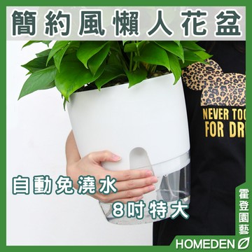 【隔日到貨】簡約風懶人花盆 特大款 透明吸水盆 懶人花盆 透明花盆 棉繩自動吸水花盆 免澆水盆【HOMEDEN霍登園藝】