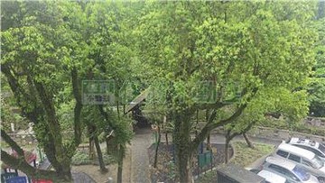 安泰公園獨棟美寓｜台北市內湖區安泰街