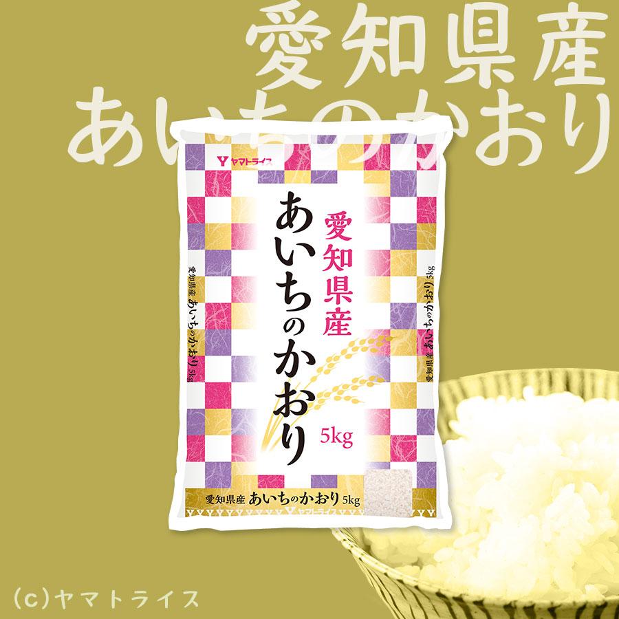 米 お米 20kg あいちのかおり 愛知県産 5kg×4 白米 令和5年産