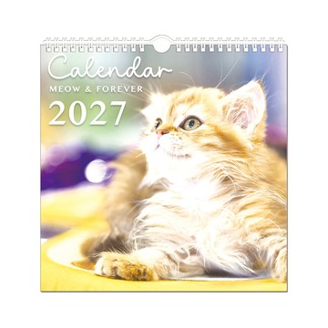 2027年 方型貓咪中掛曆