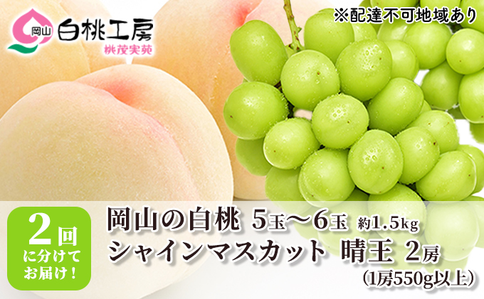 桃 ぶどう 2024年 先行予約 白桃 1.5kg シャインマスカット 晴王 2房 1房550g以上 2回に分けてお届け！ もも 葡萄 定期便 岡山 国産 フルーツ 果物 ギフト 桃茂実苑