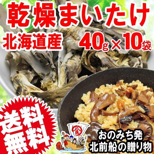 舞茸 まいたけ 乾燥舞茸 国産 40g×10袋 折れや欠け 送料無料