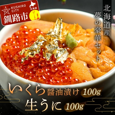 塩水うに (生ウニ) 100g いくら 昆布醤油漬け 100g F4F-1572