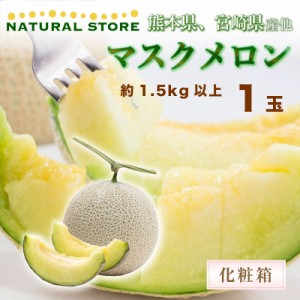  マスクメロン 九州産 メロン 秀品 3Lサイズ 1玉 約1.5kg以上  夏ギフト 御中元 お中元