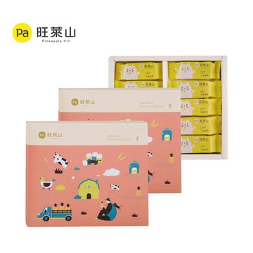 Pineapple Hill 2盒組- 鳳梨酥10入禮盒 伴手禮 附禮盒袋